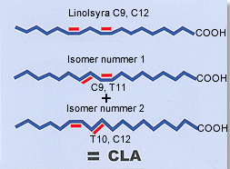 CLA CLA