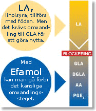 Efamol Efamol